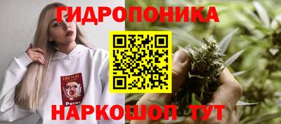 a pvp Можайск