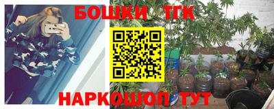 ешки Можга